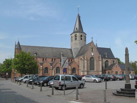 Stekene Image