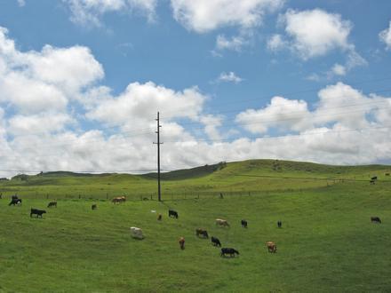 Вајмеа (Хаваји) Image