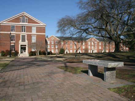 Wake Forest Image