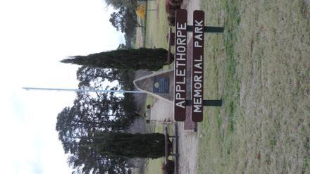 Applethorpe Image