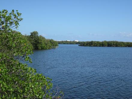 Lake Worth Image