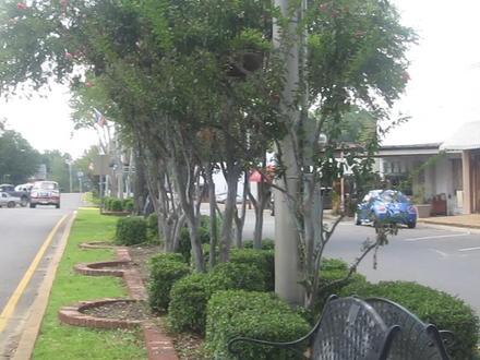 Jonesboro Image