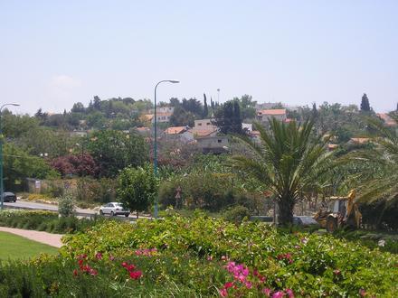 Shelomi Image