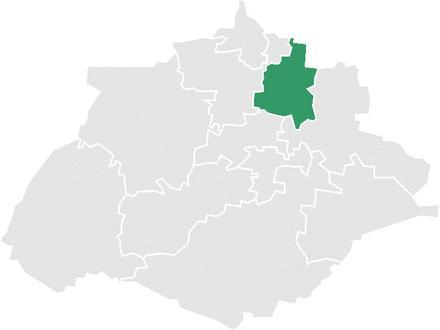 Tepezalá Image