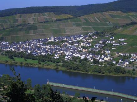 Enkirch Image
