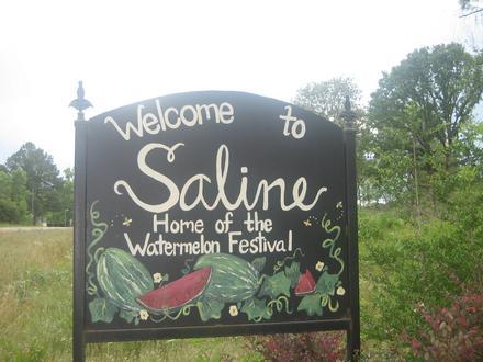 Saline Image