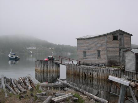 Little Bay Islands Image