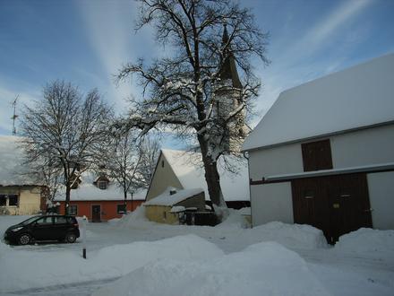 Schönsee Image