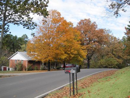 Batesville, Arkansas Image
