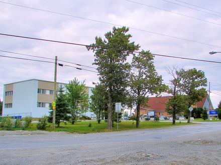 Landrienne Image