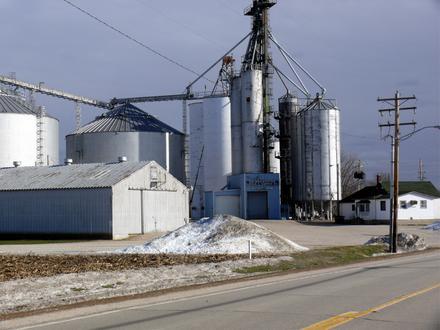 Troy Grove Image