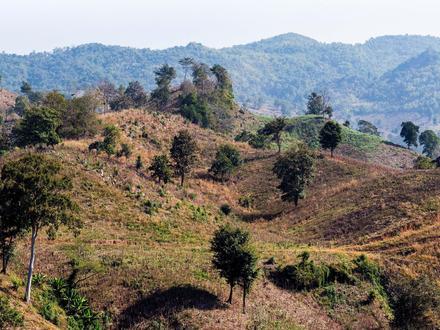 Tha Wang Pha Image