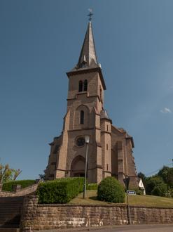 Bild von Meckel