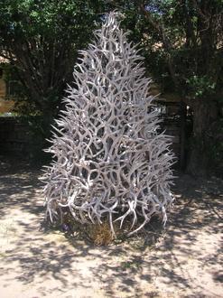 Quemado Image