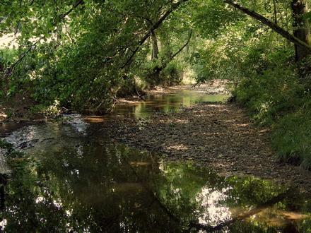 Imatge de Viriat (Ain) Imatge de Viriat (Ain)