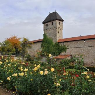 Kirchheimbolanden Image