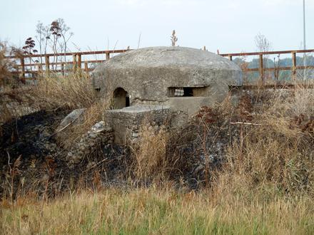 Villapiana Image