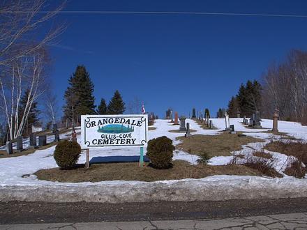 Orangedale Image