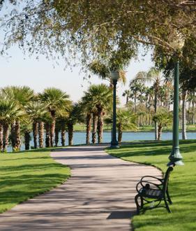 Goodyear Image