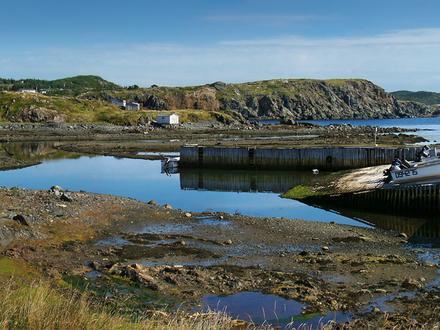 Comfort Cove-Newstead Image