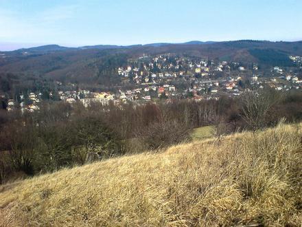 Pressbaum Image