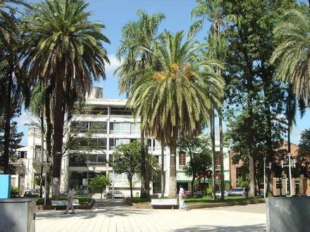 Concepción Image