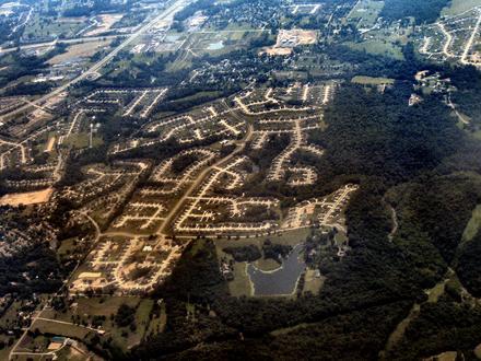 Burlington Image