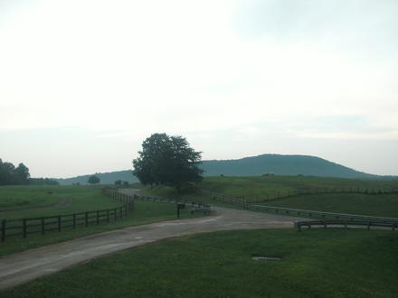 Castleton Image