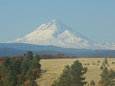 Pine Hollow Image