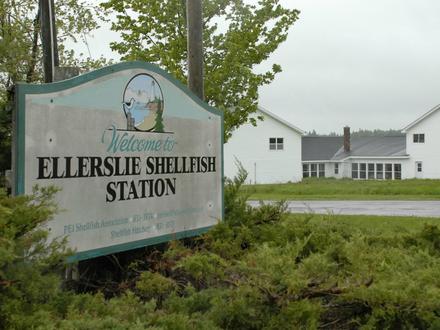 Ellerslie Image