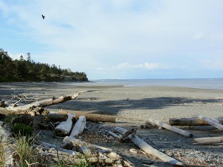 Marrowstone Image