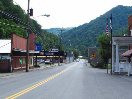 Bradshaw Image