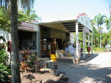 Yandina Image