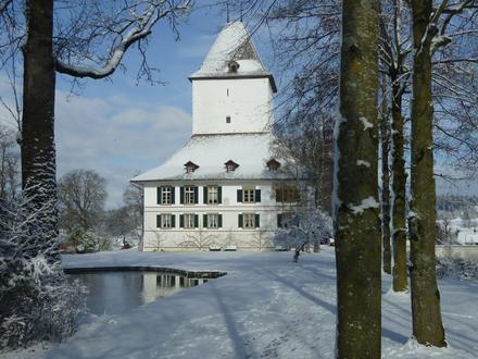 Immagine Schlosswil