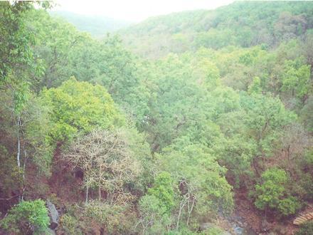Amarkantak Image