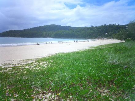 Noosa Heads Image