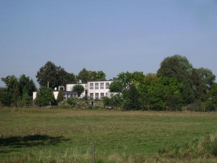Piątki Image