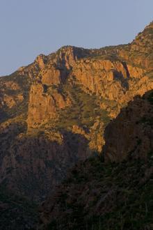 Catalina Foothills Image