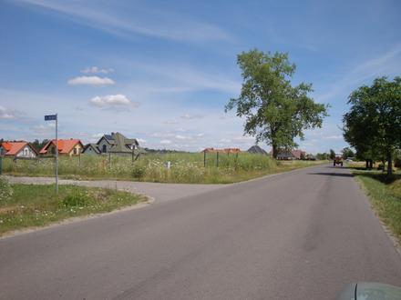 Prawiedniki Image