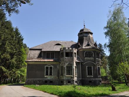 Totești Image