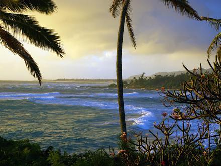 Wailua Image