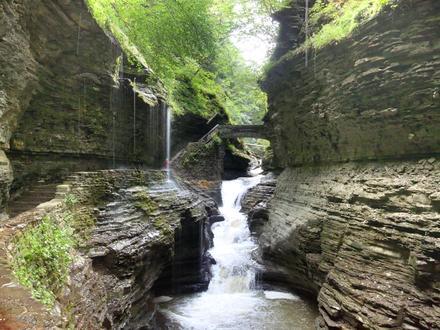 Watkins Glen Image