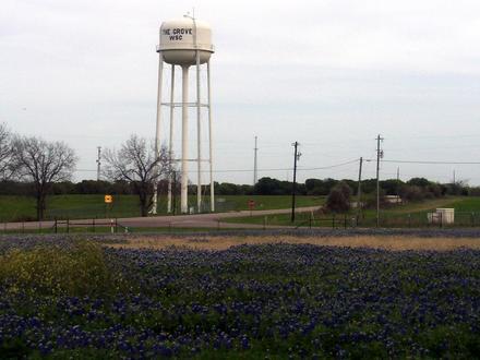 The Grove Image