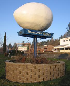 Winlock (Washington) Image