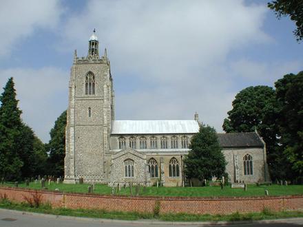 Necton Image