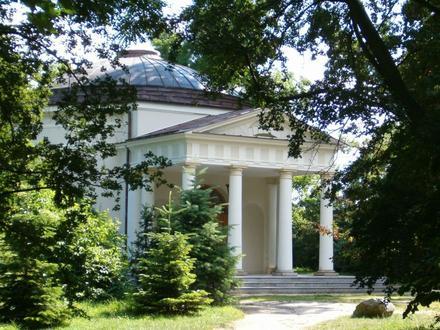 Dobrzyca Image