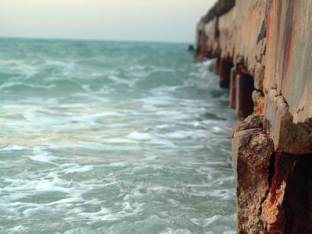 Anna Maria Image