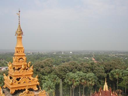 Bago Image