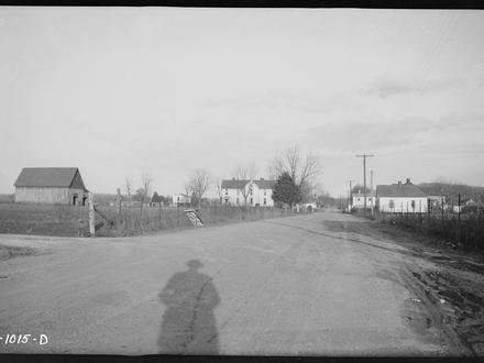 Harrison Image