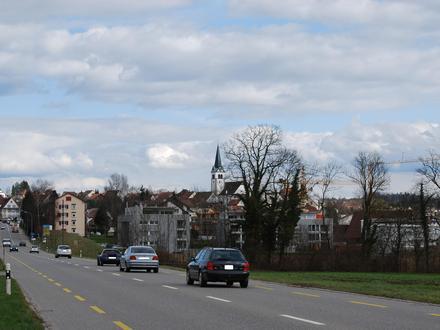 Sulgen Image